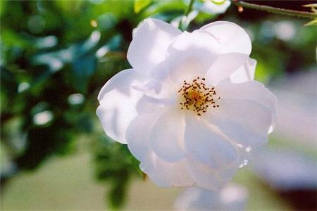 春暖花开.jpg 春暖花开.jpg